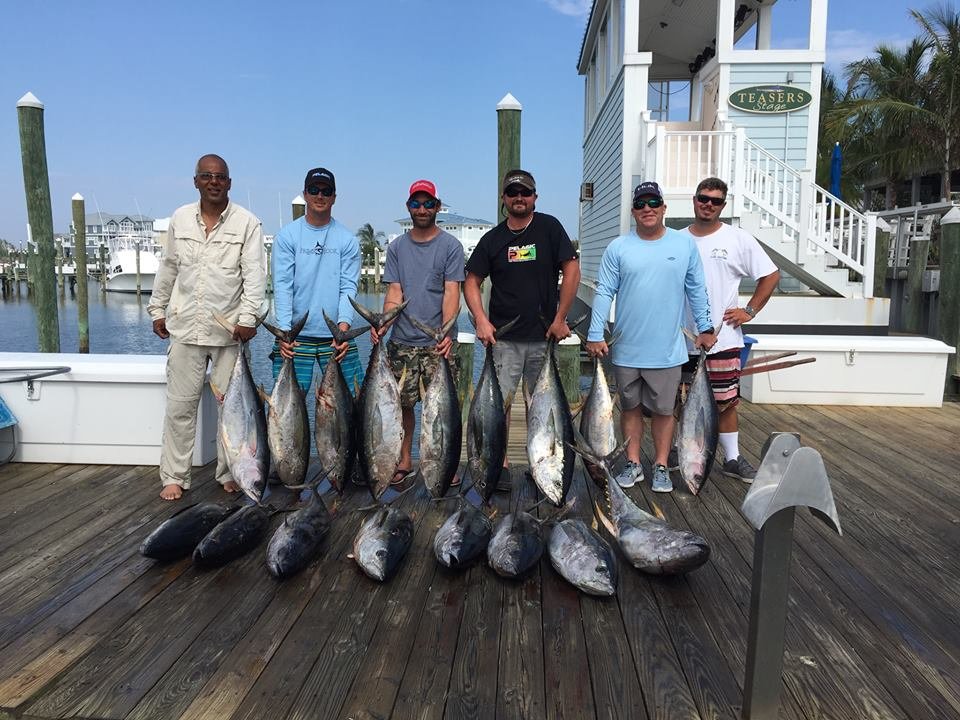 Rockfish Inshore…Yellowfin Off