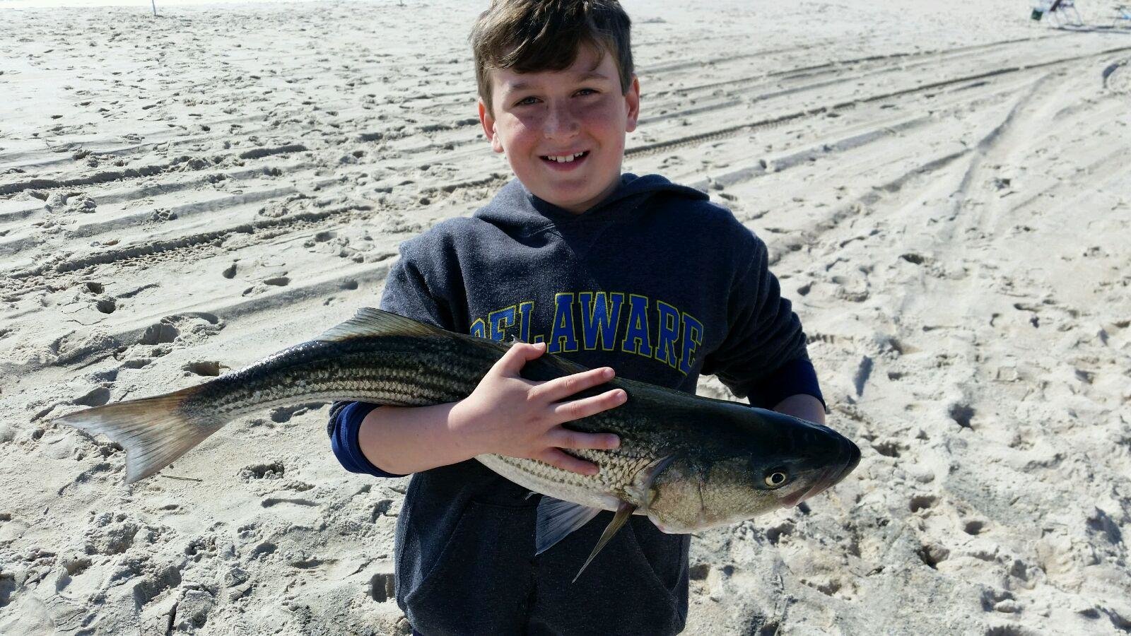 Fishing in Ocean City MD Daily Angle Rockfish Fun for the Whole Family