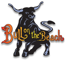 Bull on the Beach