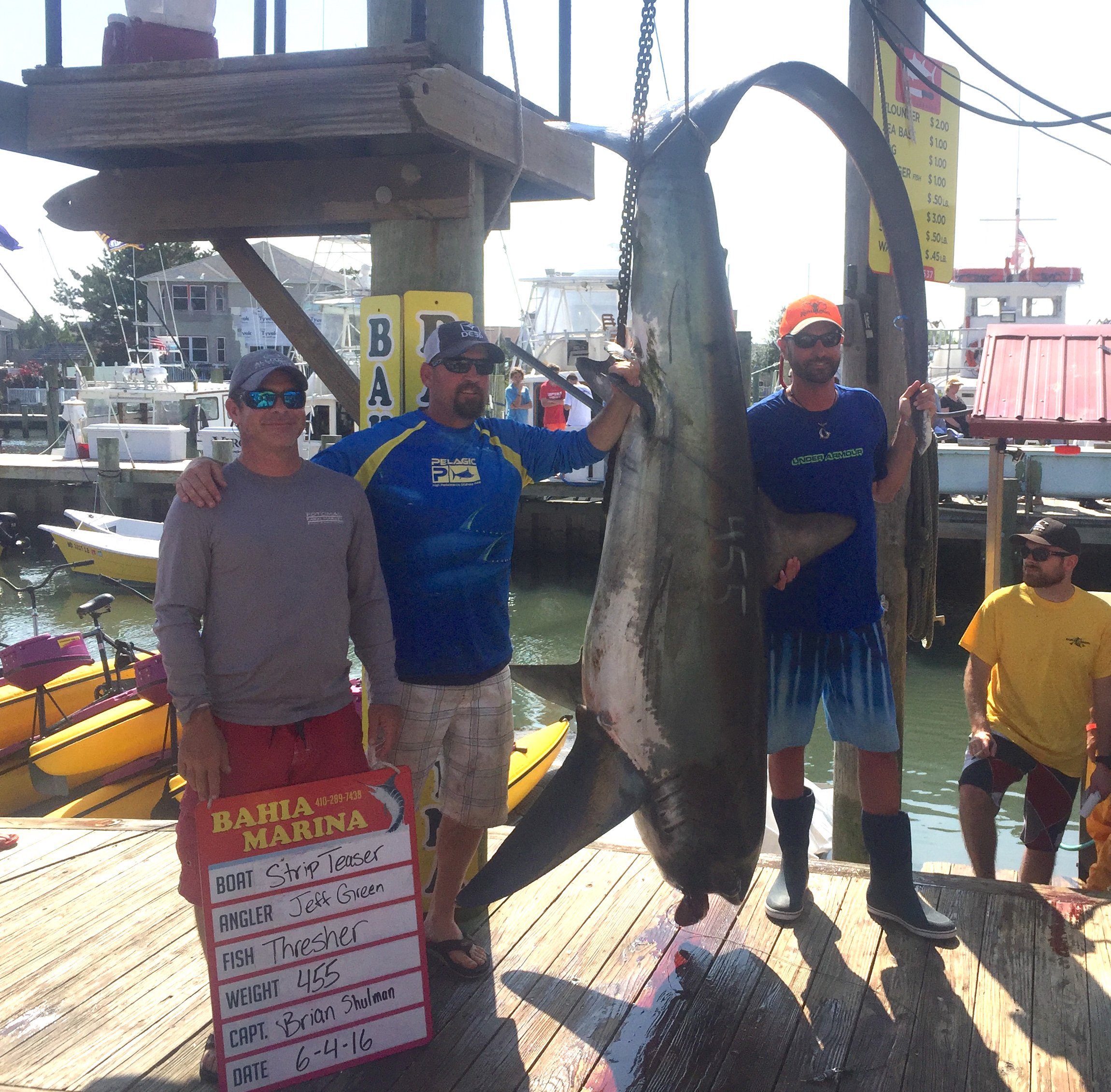 400+ Pound Thresher Shark and Flounder in the Bay