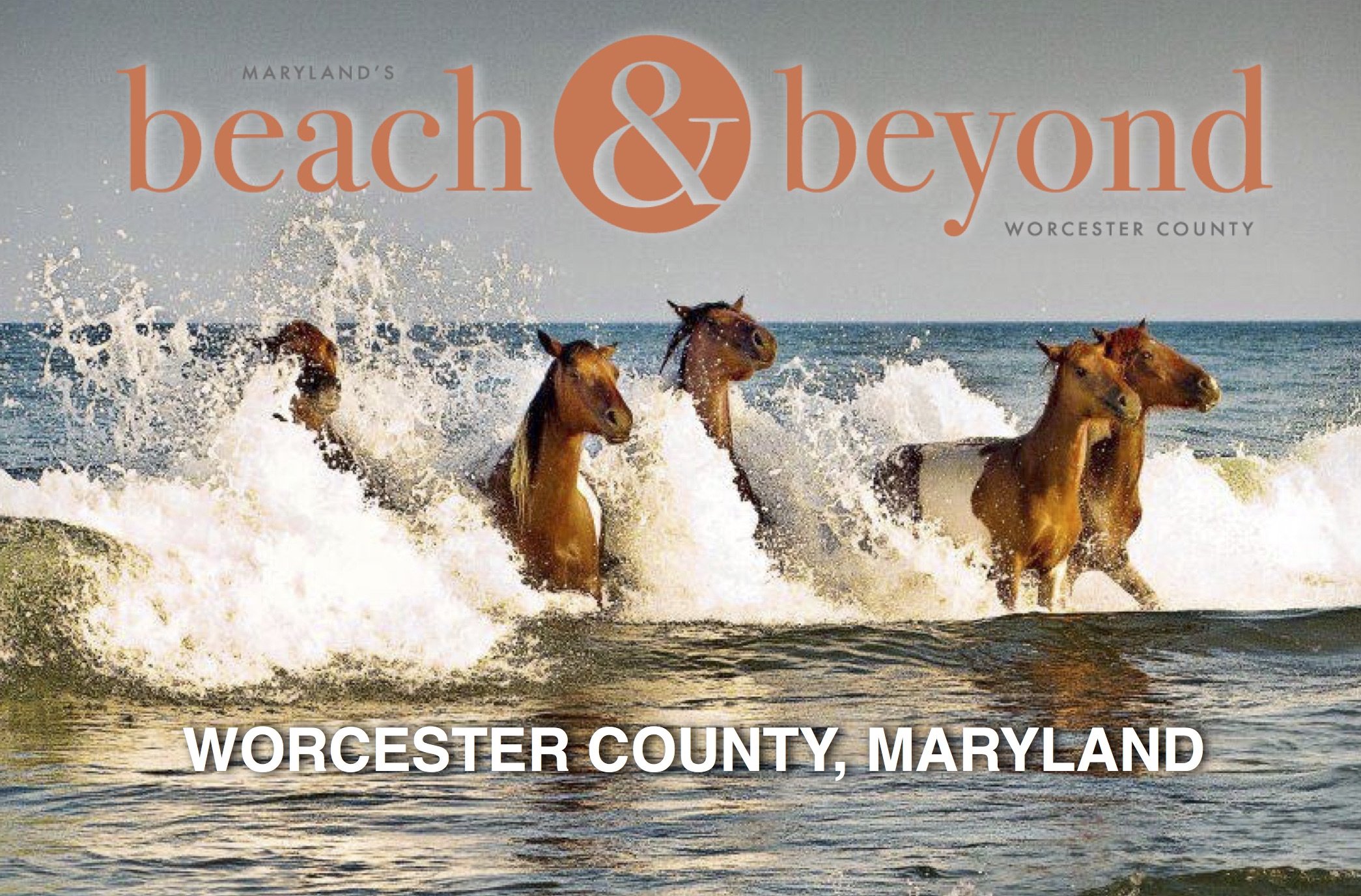 Maryland’s Beach & Beyond