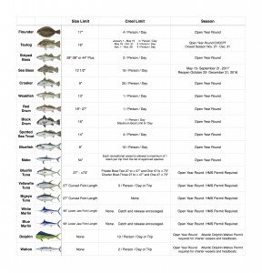 Ocean City Fishing Regulations