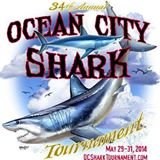 OC Shark Tournament Cancelled After 34 Years