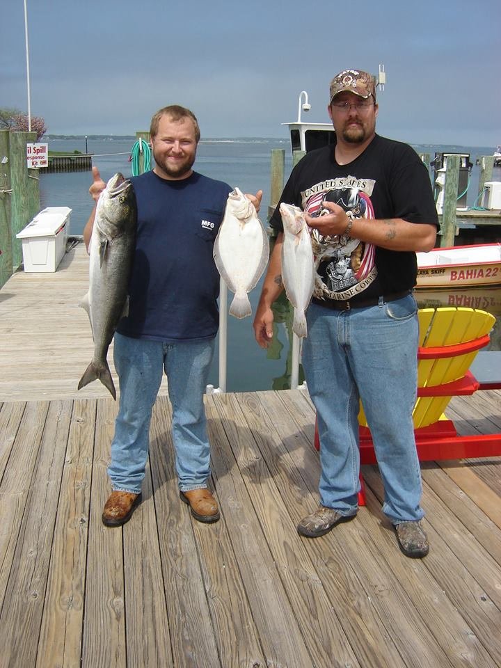 Big Bluefish in the Bay