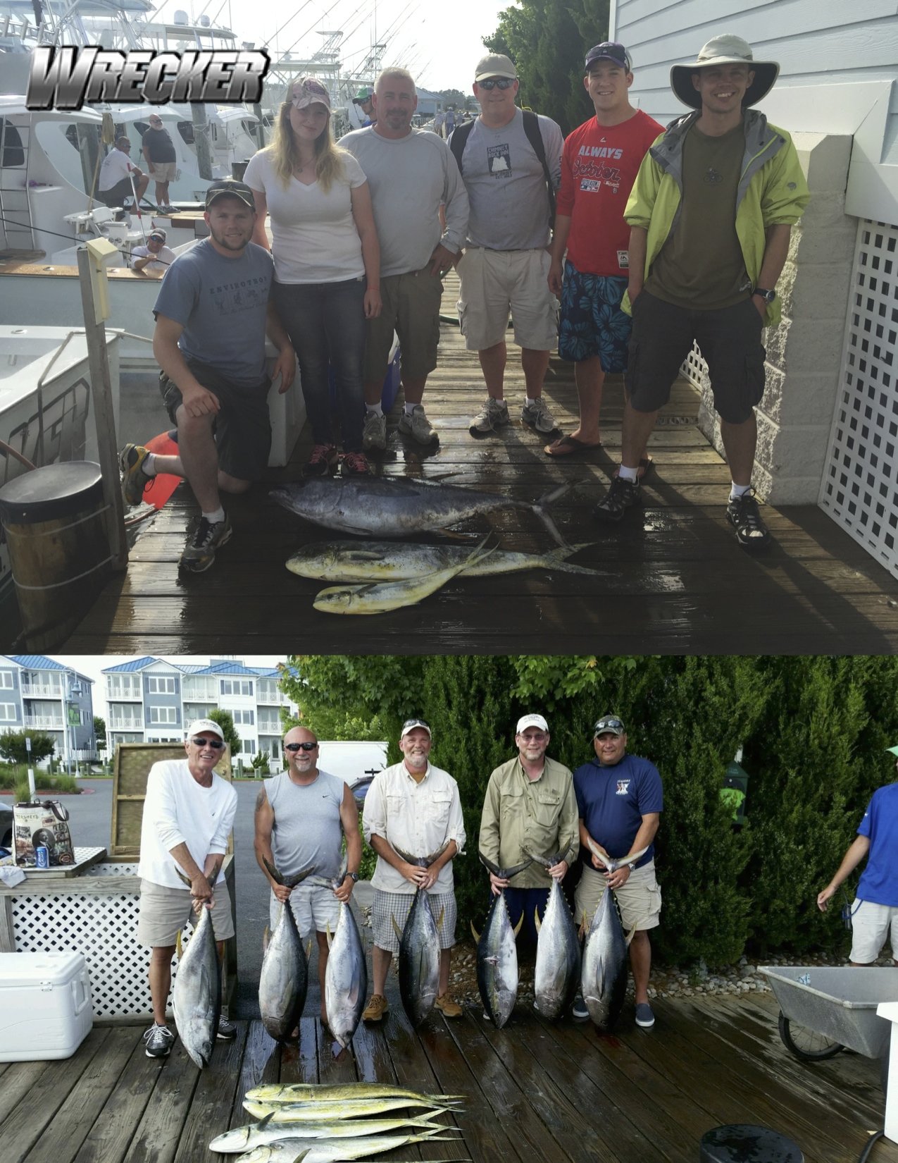 Fish in OC Winners and More Tuna for Moore Bills