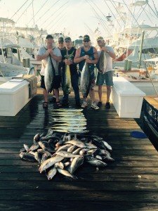 Boss hogg 2 yellowfin, 40 tilefish, 10 mahi, 32 seabass