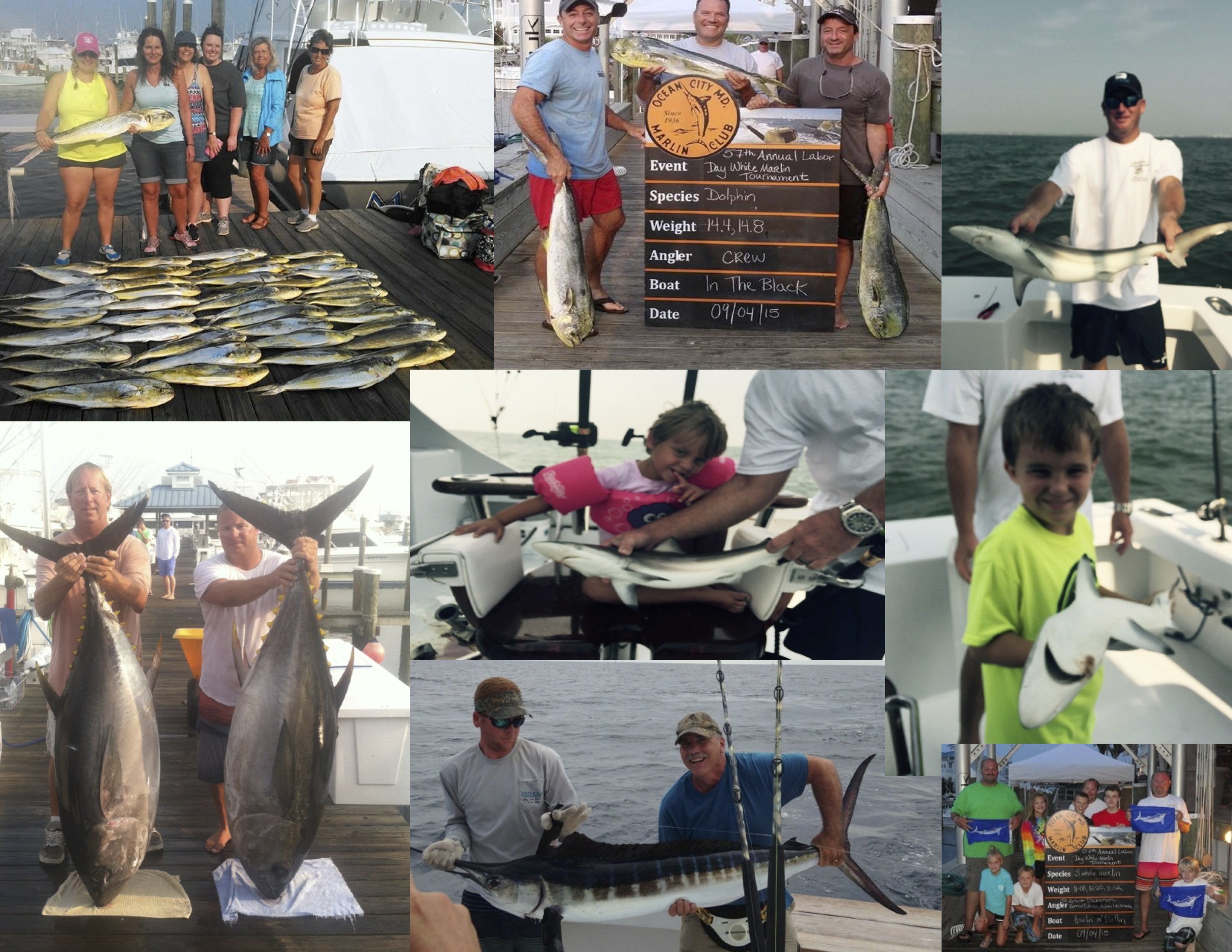 Marlin, Tuna, Mahi & Sharks and OCMC Labor Day White Marlin Tournament