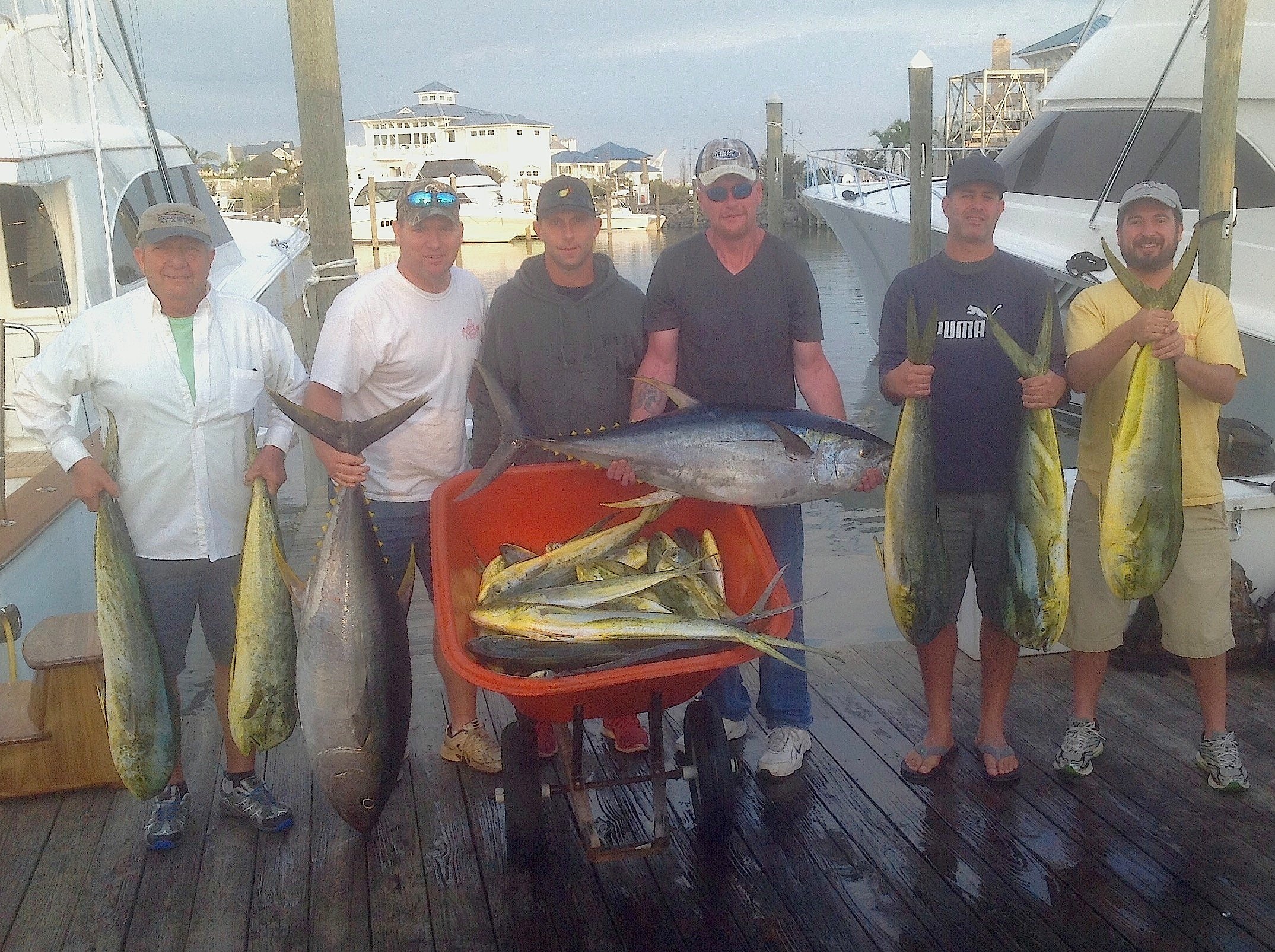 Tuna and Mahi in The Washington, Flounder and Tog in The Bay