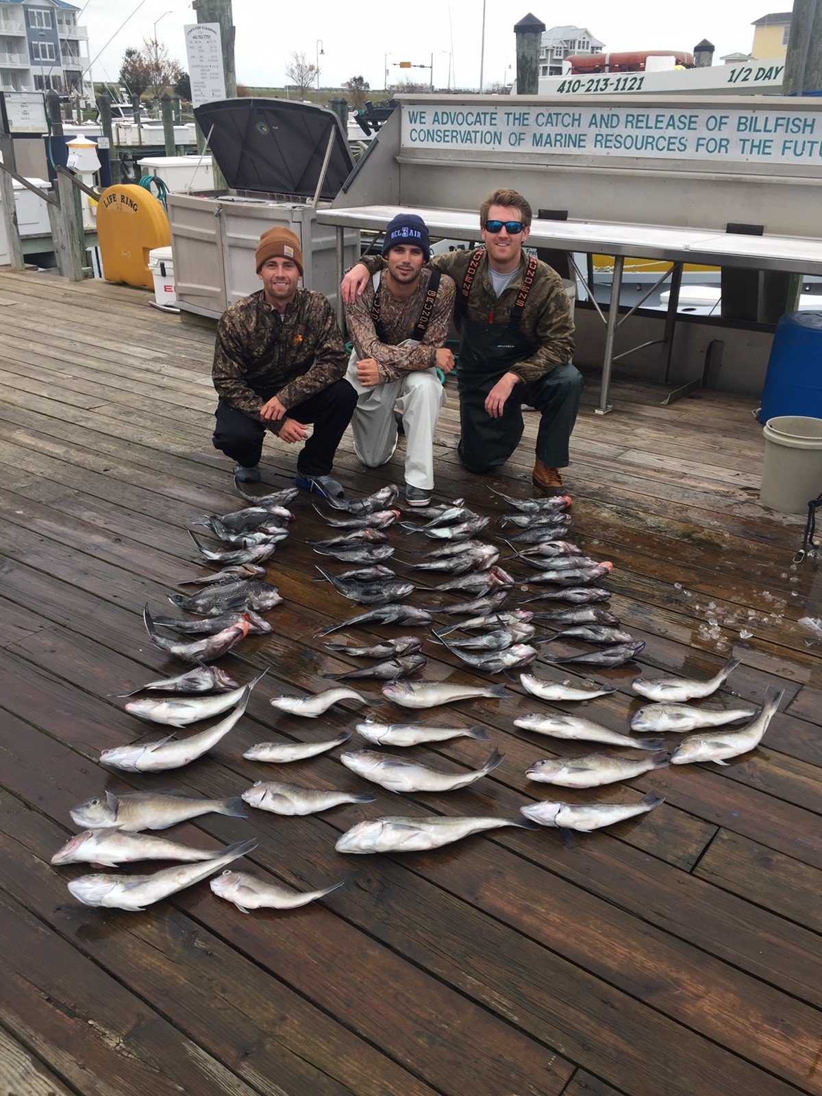 Sea Bass and Tiles