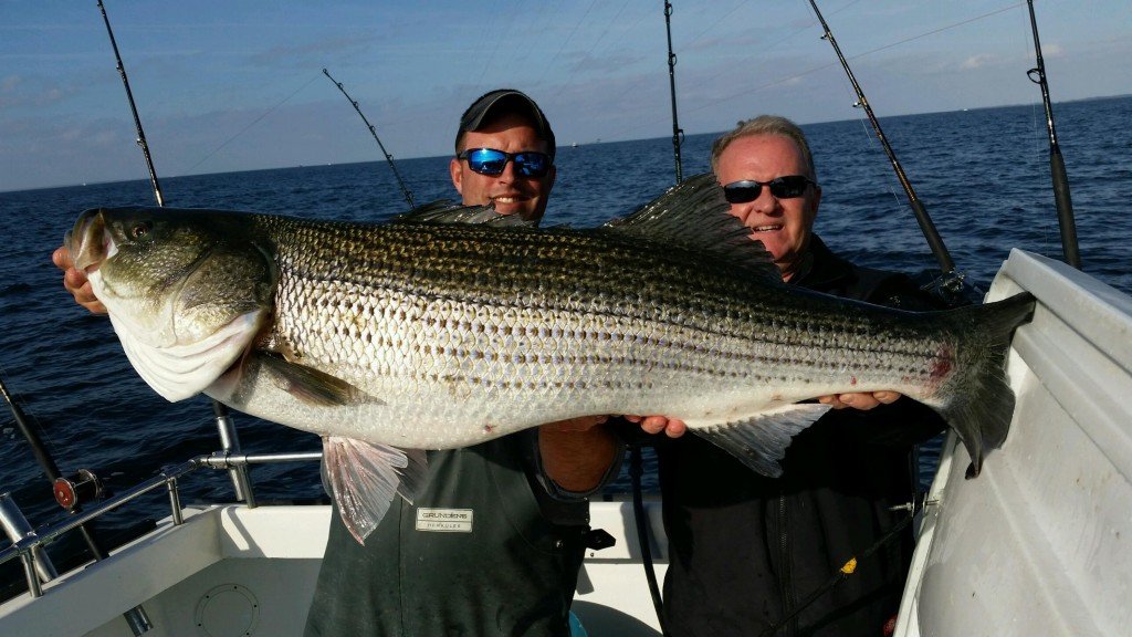 MSSA Fall Classic Day 1 Big Ol' Rockfish Ocean City MD Fishing