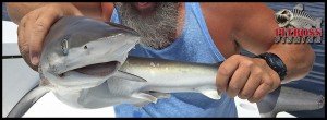 fishinOC22016
