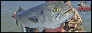 fishinOC42016
