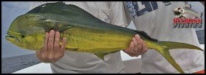 fishinOC52016