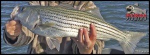 fishinOC62016