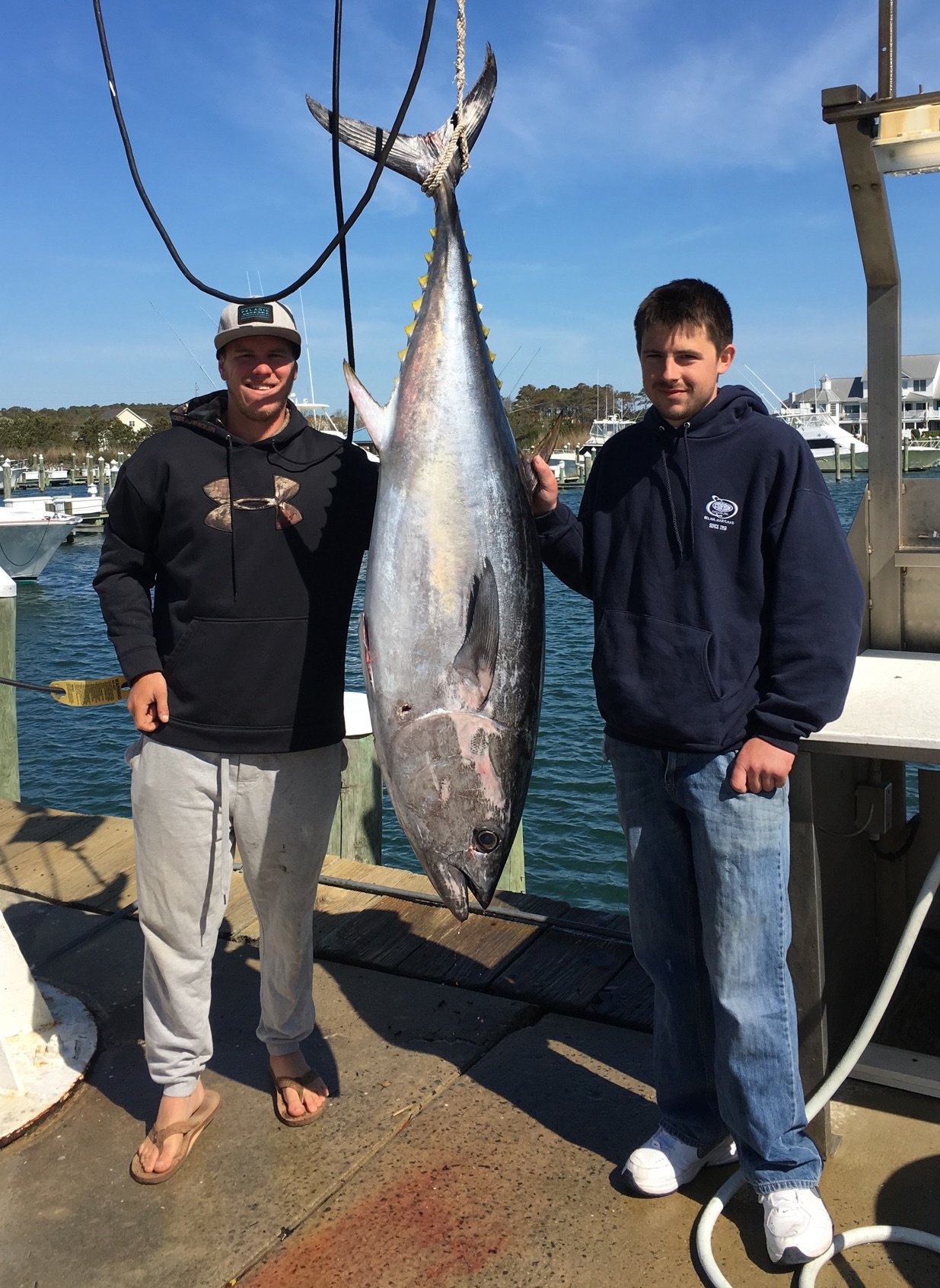 Bluefin and Stripers