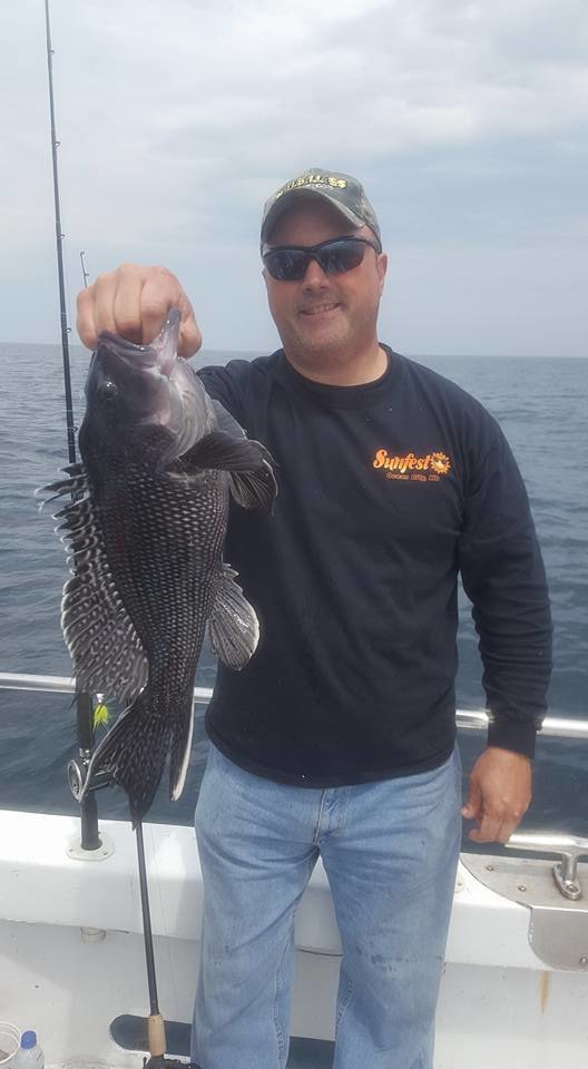 Sea Bass are Snappin’