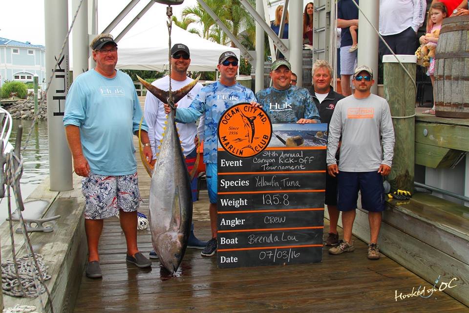 HUGE 125.8 Pound Yellowfin Tuna