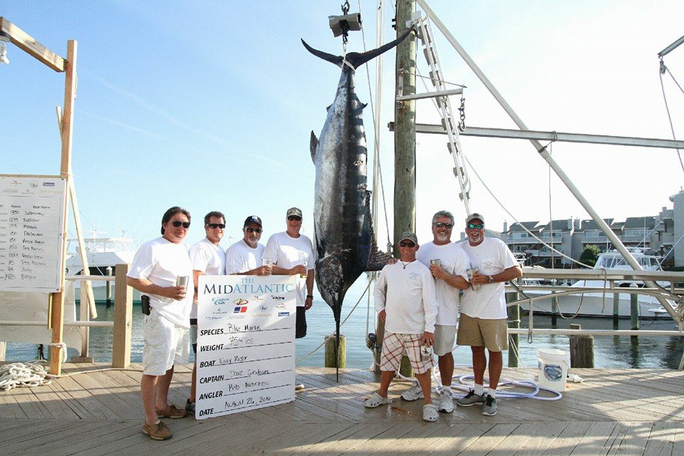BIG Blue Marlin Finishes Out The 25th MidAtlantic