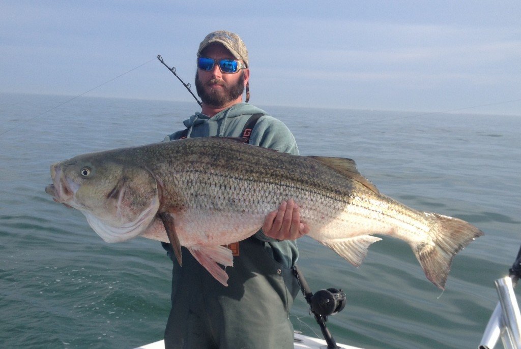 OCMC 4th Annual Rockfish Tournament Starts Saturday Ocean City MD Fishing