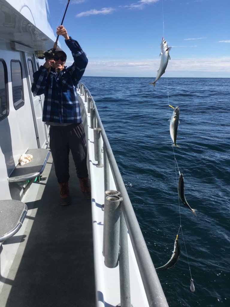 Holy Mackerel! Ocean City MD Fishing