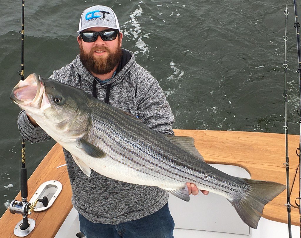 Stripahs - Ocean City MD Fishing