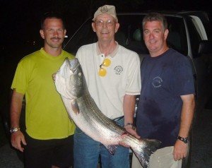 rock-fish0001-768x608