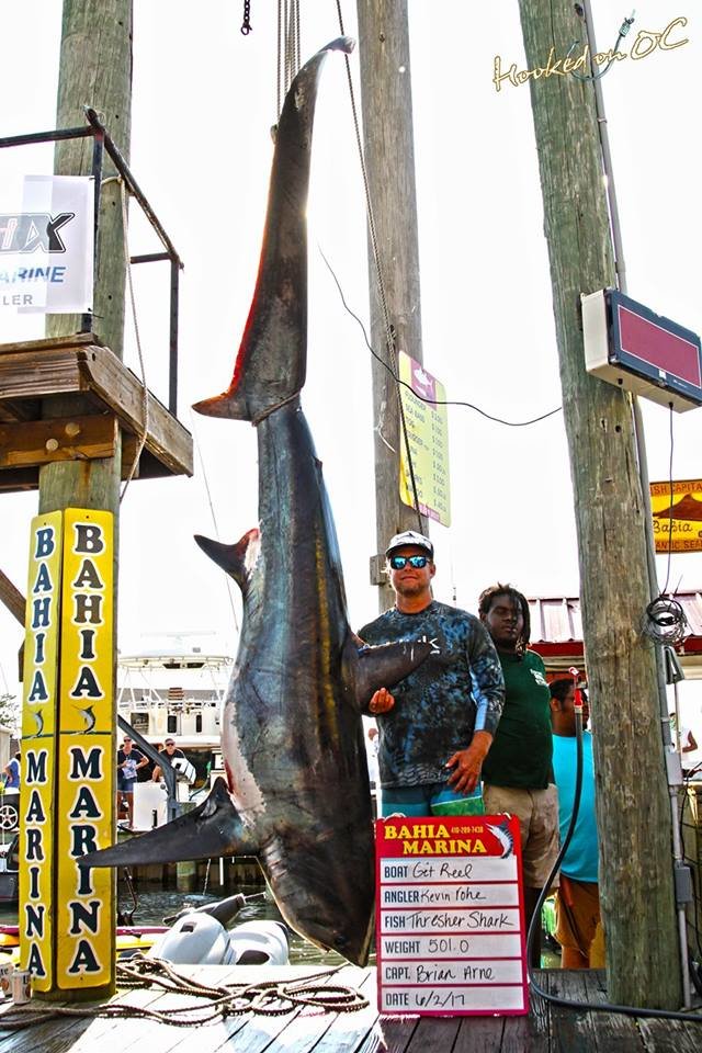 500 Pound Thresher Shark Highlights Mako Mania Day 1