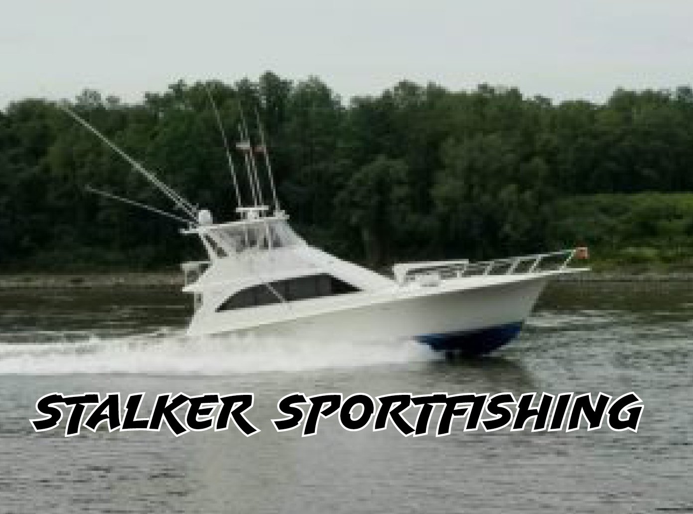 Stalker Sportfishing