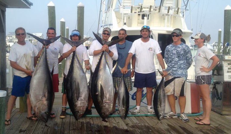 Reel Chaos - Fishing Reports & News Ocean City MD Tournaments