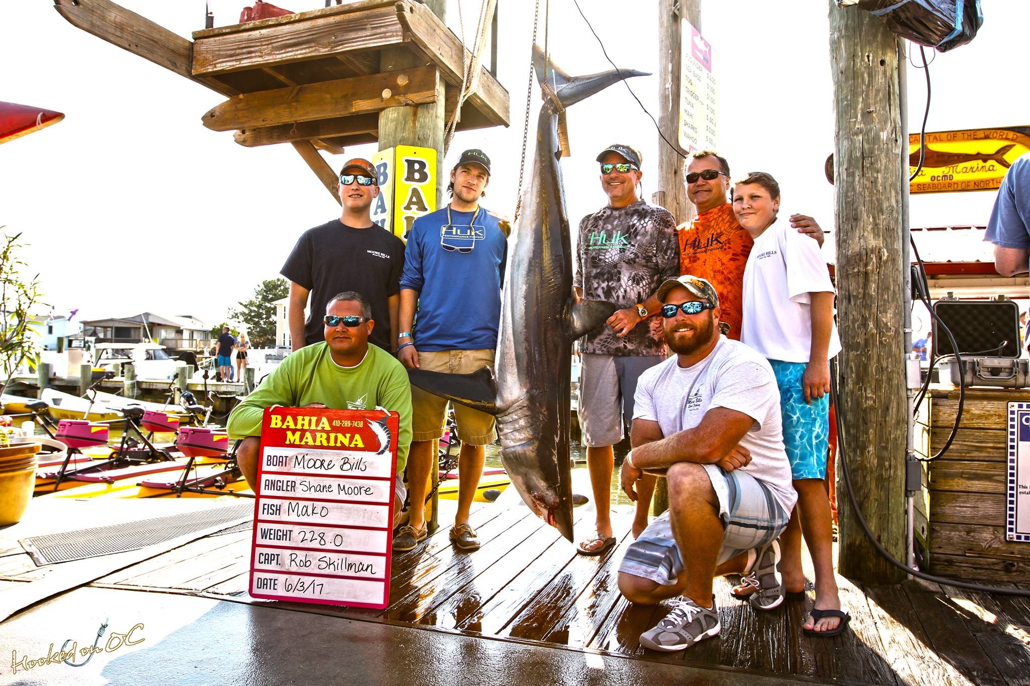 Mako Mania Shark Tournament