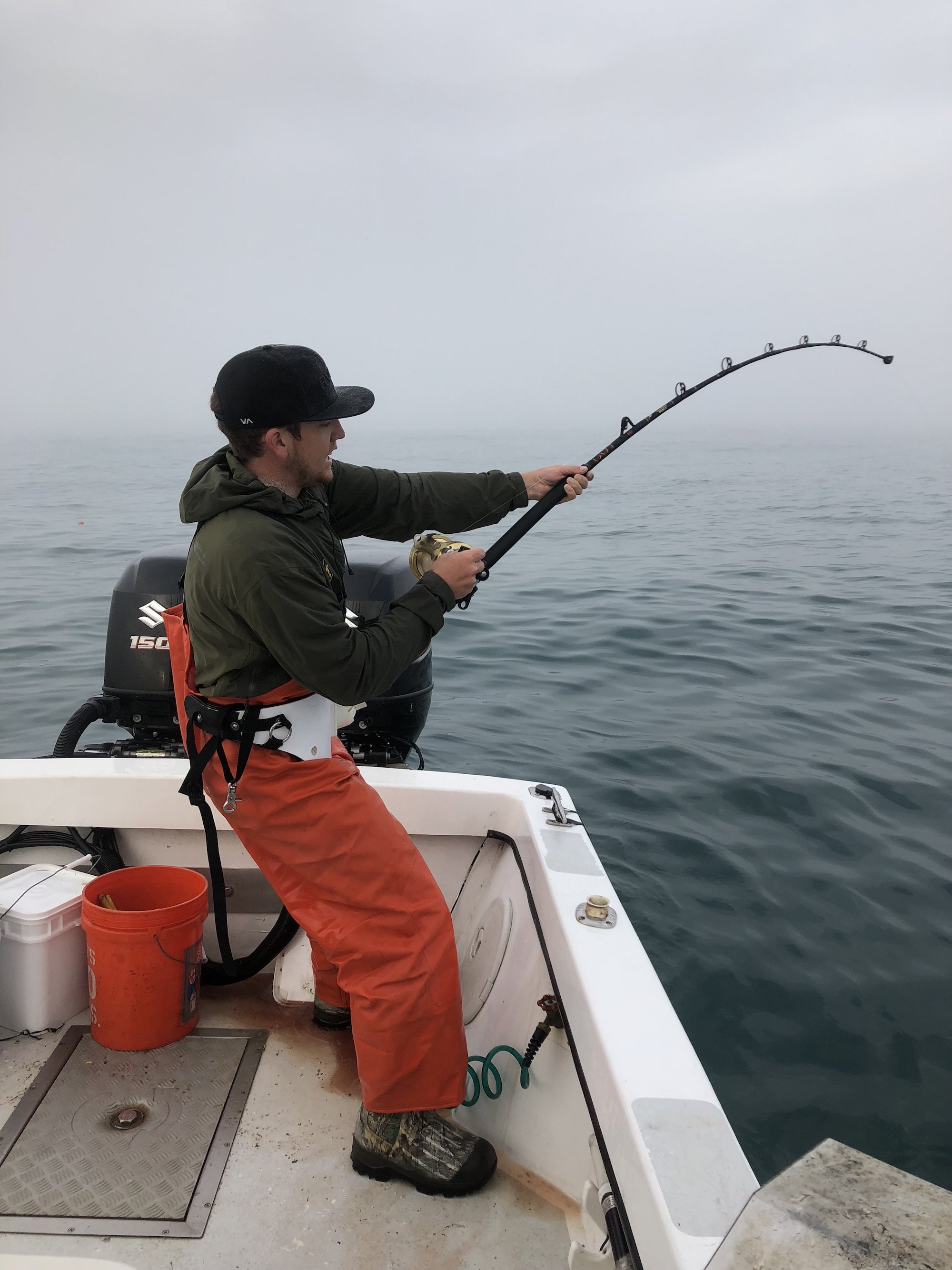 Big Sea Bass on the Morning Star Ocean City MD Fishing