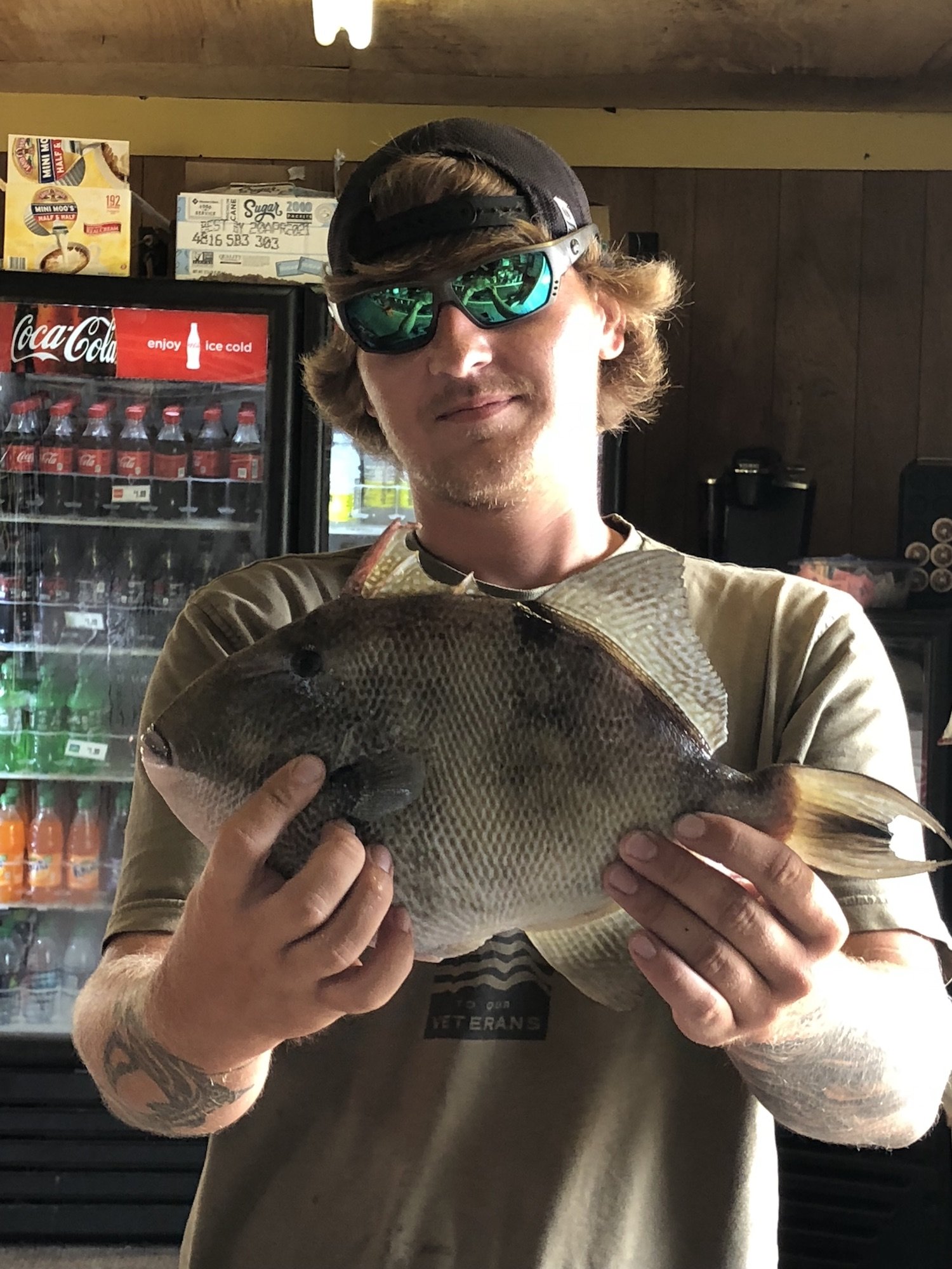 Officials: Over 300 lb. shark caught in the Chesapeake Bay - 47abc