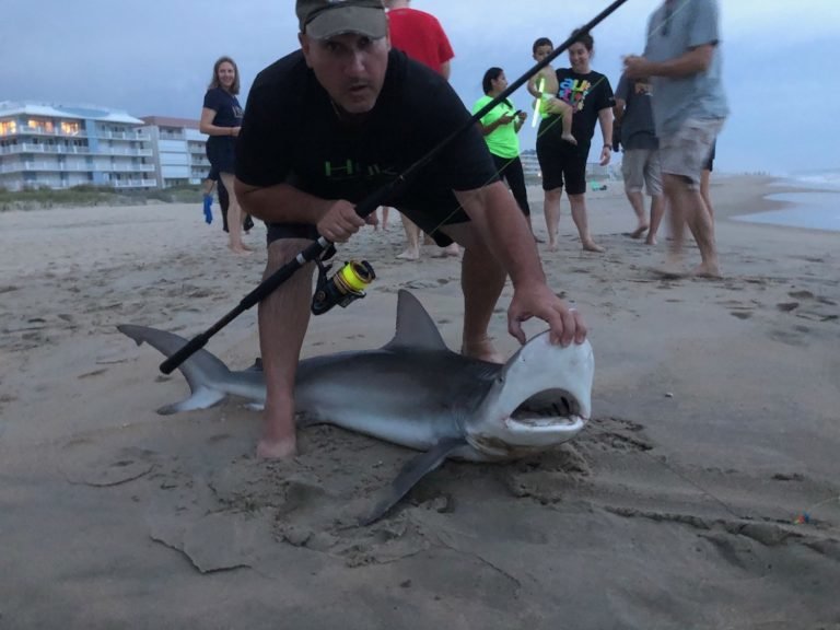 Huge Bull Shark Caught in the Chesapeake Bay Ocean City MD Fishing