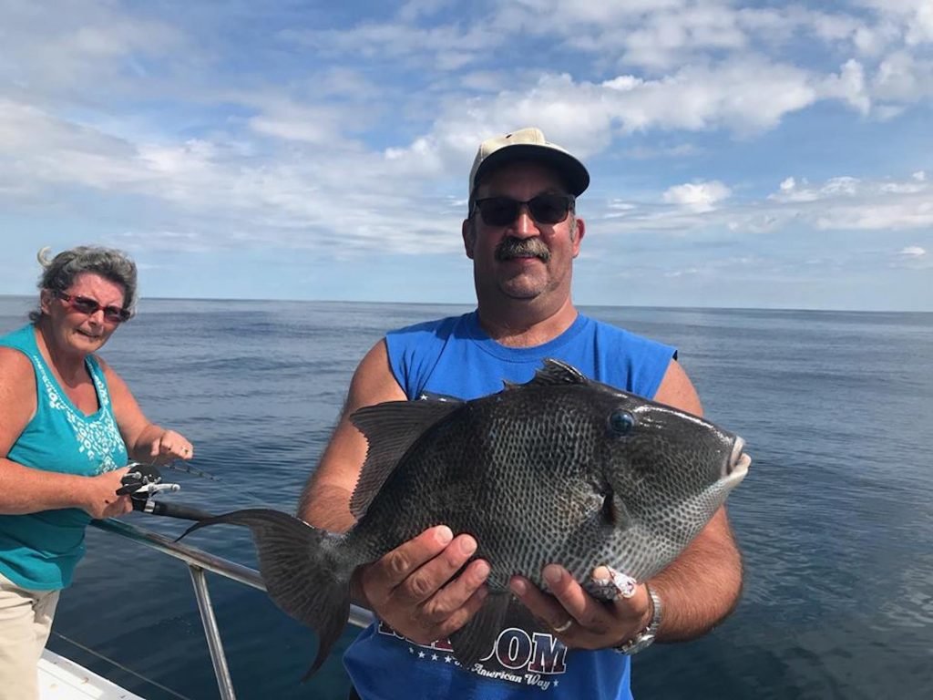 Download What the Hell is a Unicorn Filefish? | Ocean City MD Fishing