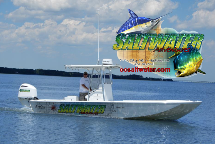 Saltwater Adventures