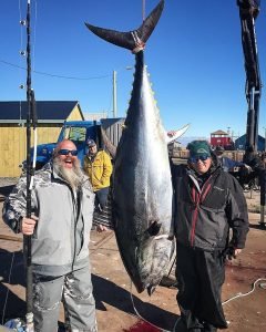 tuna pound bluefin