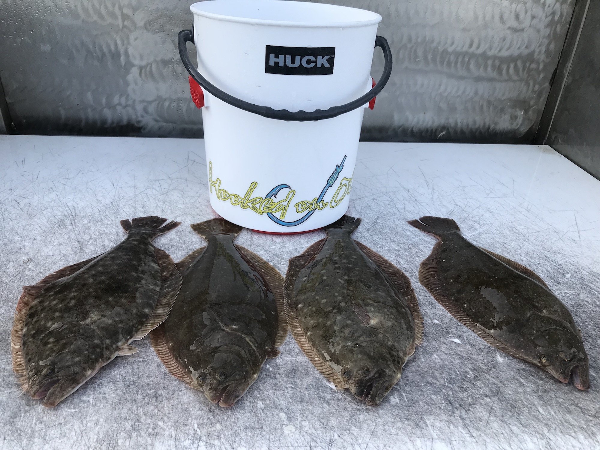 Bucket Full of Flounder - Ocean City MD Fishing