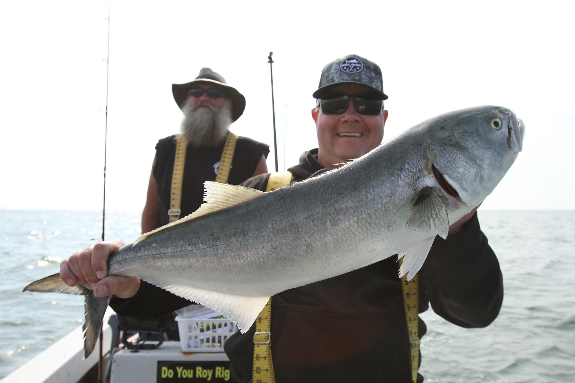Fishing for Beginners: How to Fish for Bluefish