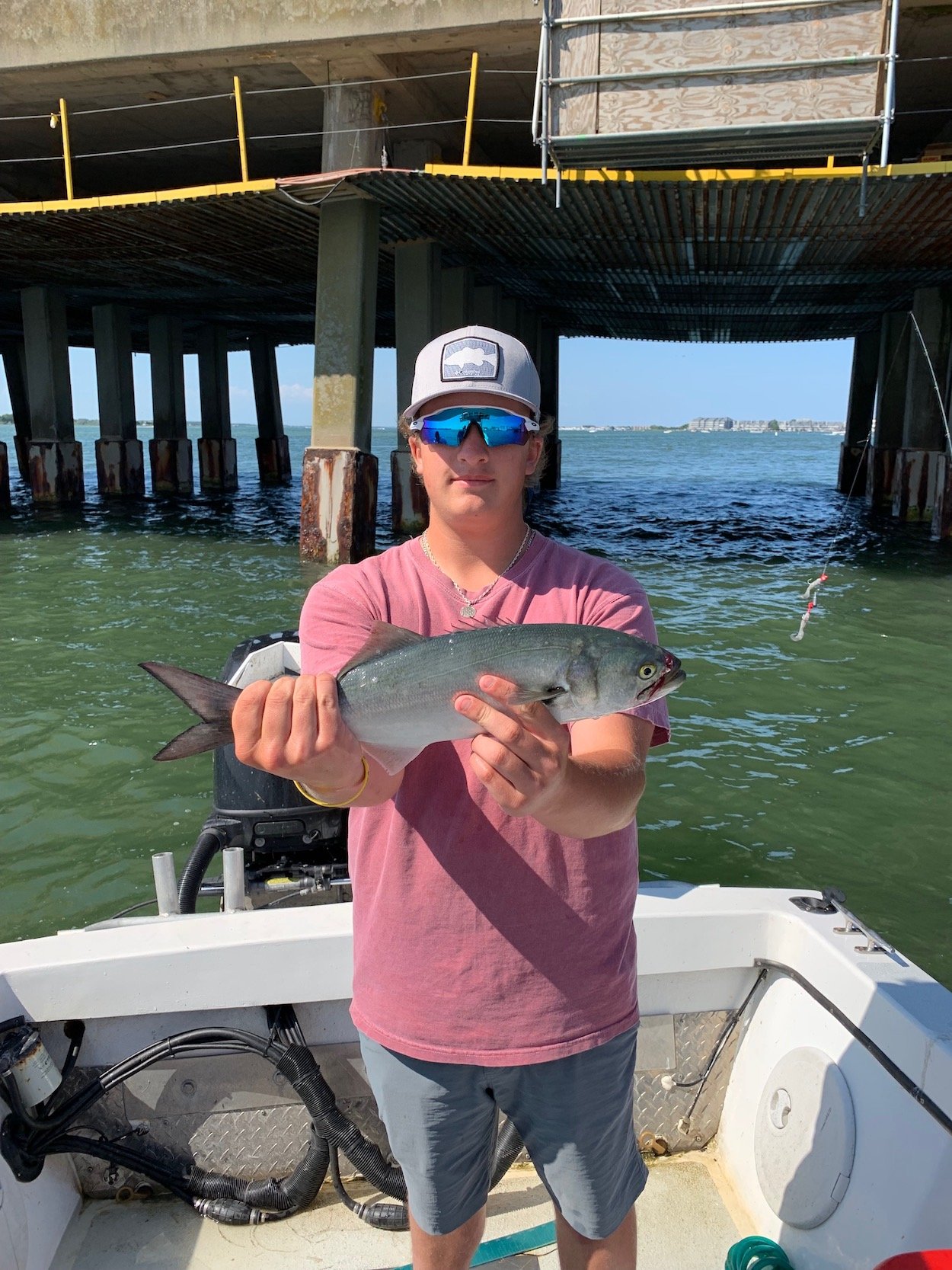 Two Flounder and a Bluefish