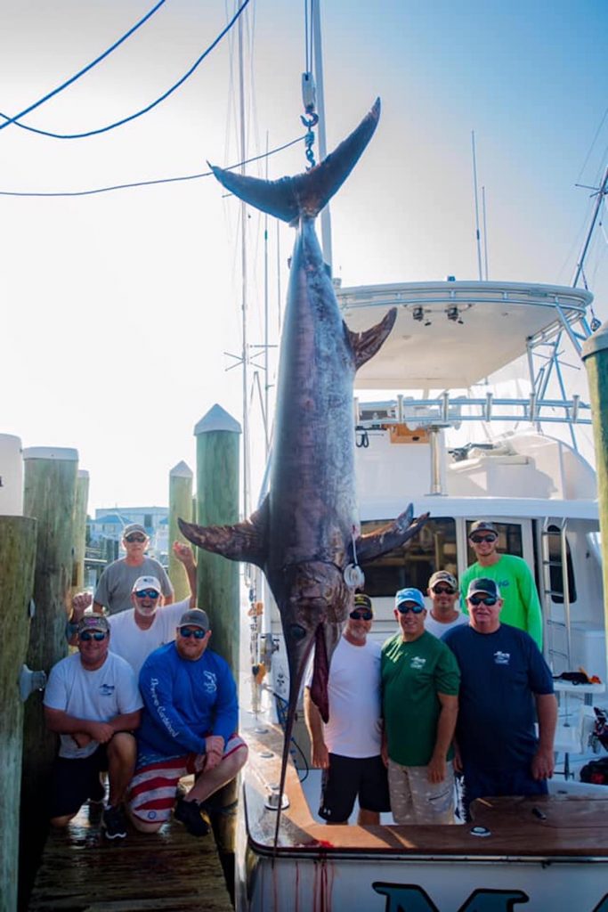 400+ Pound Swordfish - Ocean City MD Fishing