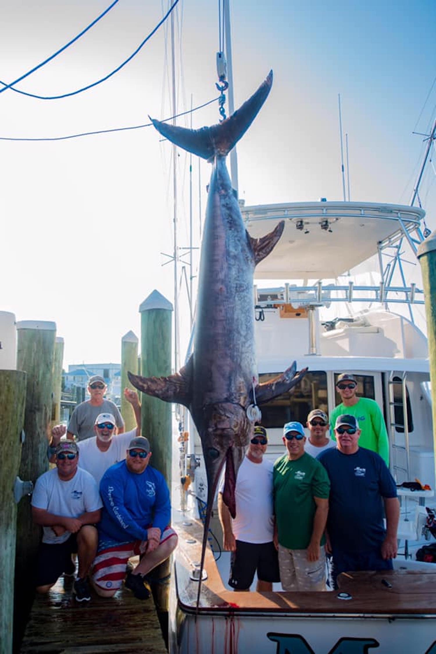 400+ Pound Swordfish