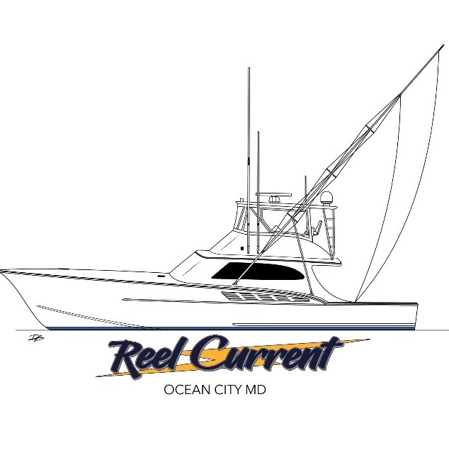 Reel Current - Fishing Reports & News Ocean City MD Tournaments