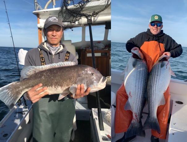Day After Christmas Tautog and Rock