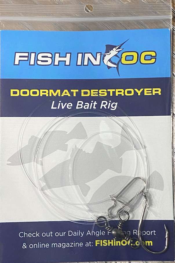 Live Bait Rig - Fishing Reports & News Ocean City MD Tournaments