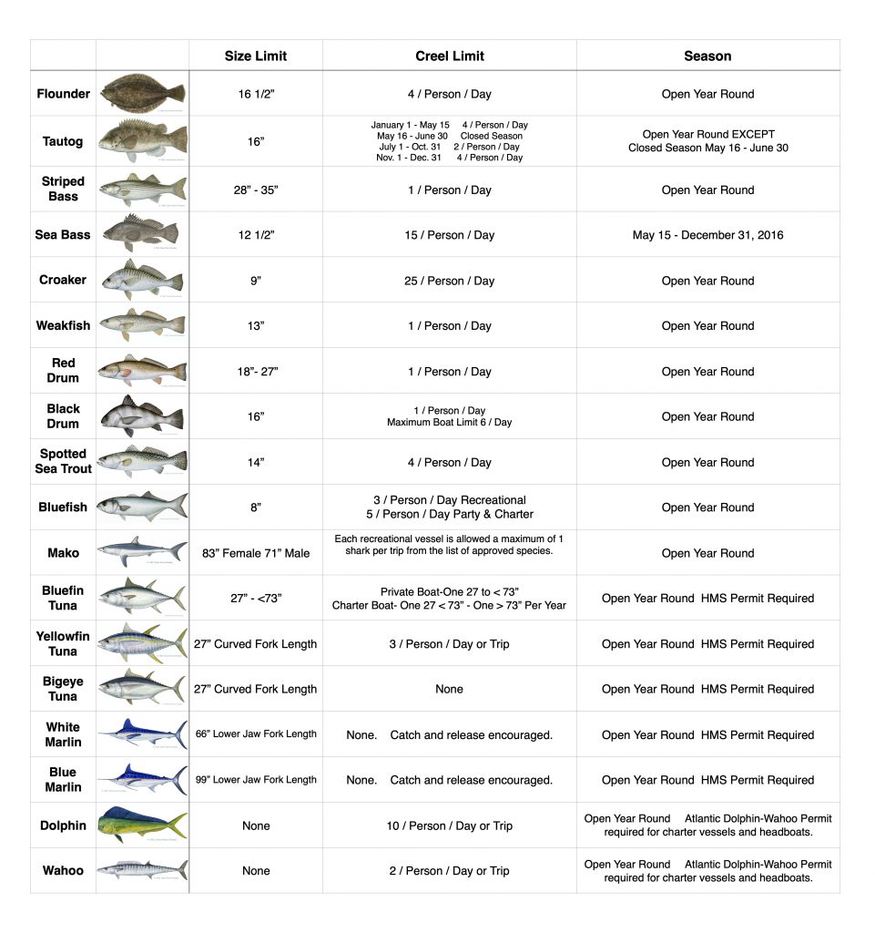 READ ALL Fishing Rules And Regulations In The State Of Maryland 