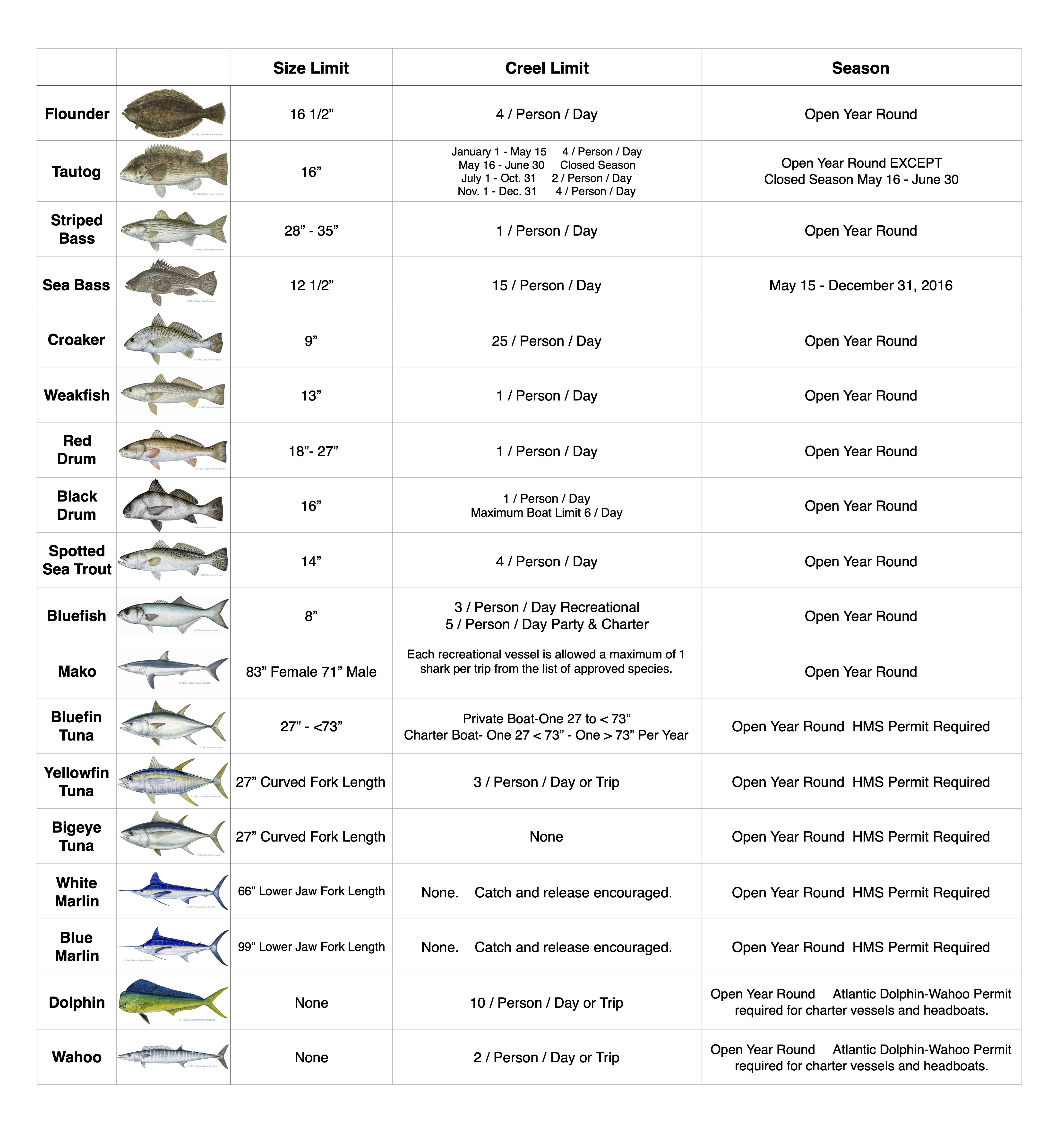 READ ALL Fishing Rules And Regulations In The State Of Maryland 