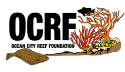 Ocean City Reef Foundation