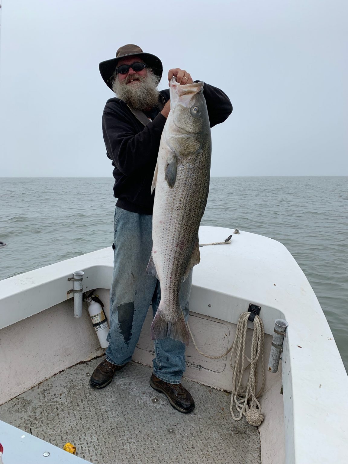 Md Rockfish Catch And Release at Patricia Gammill blog