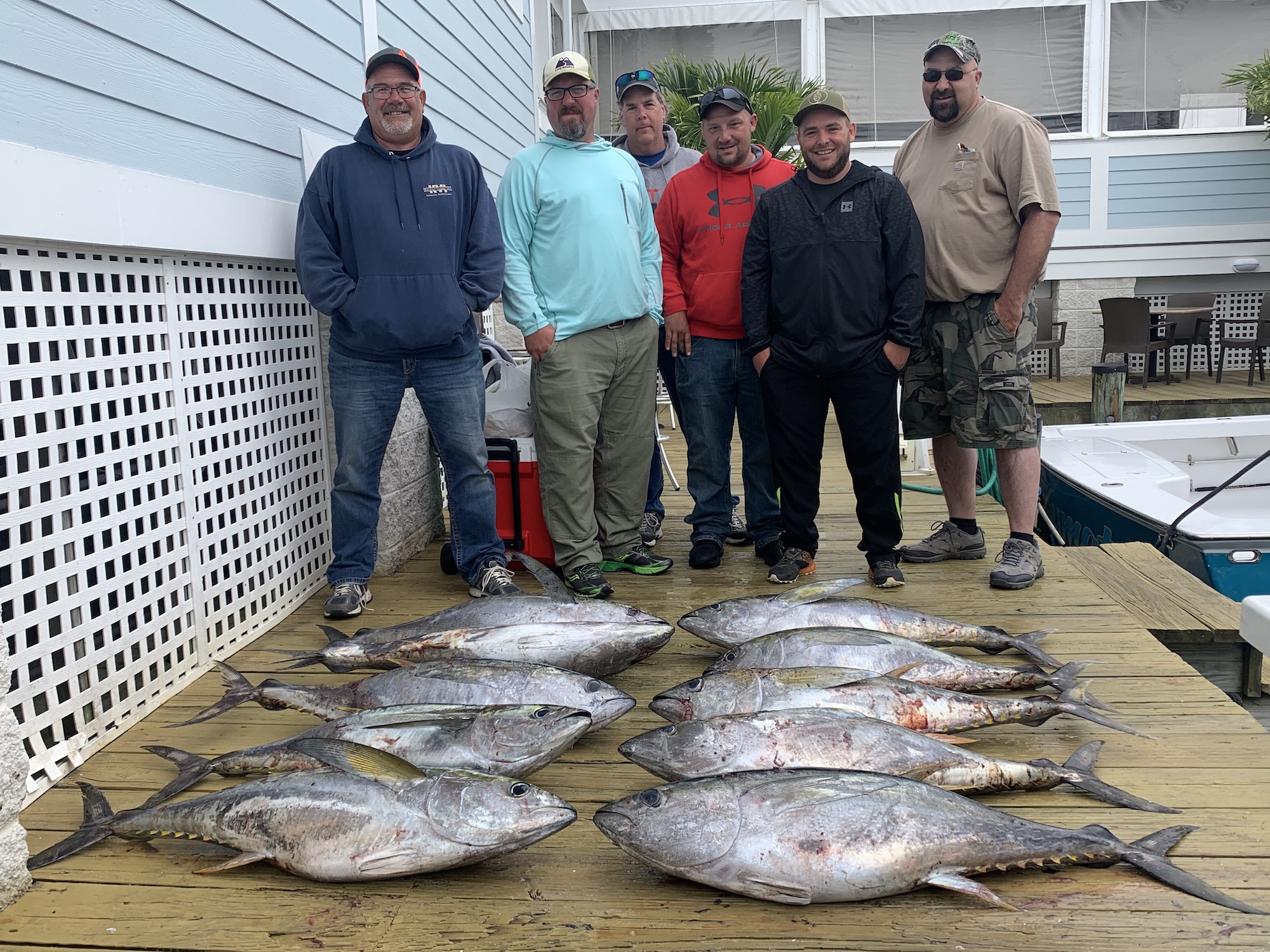 More Tunas, Sea Bass and Flounder