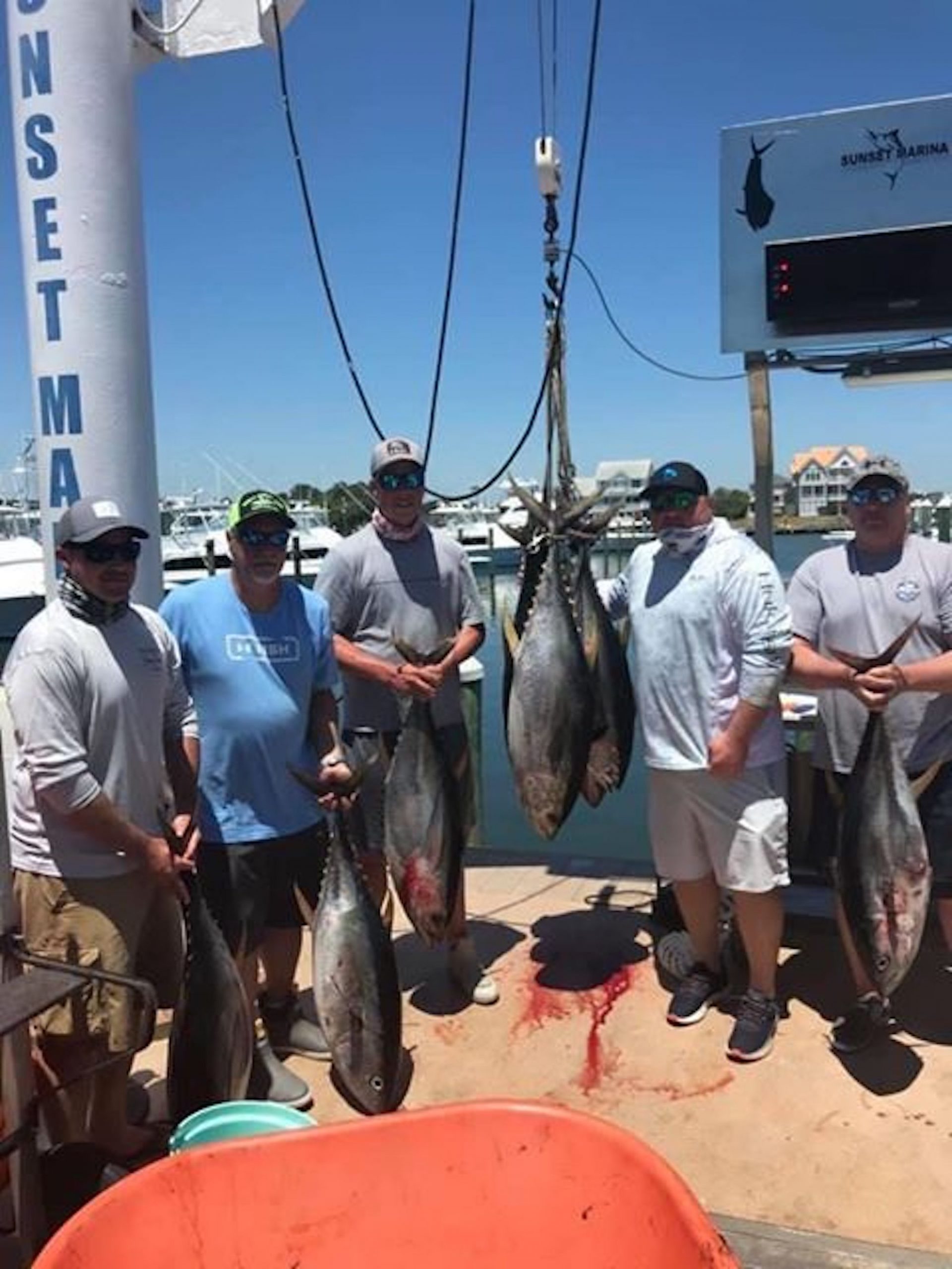 Some Flounder and Tuna Showed Back Up